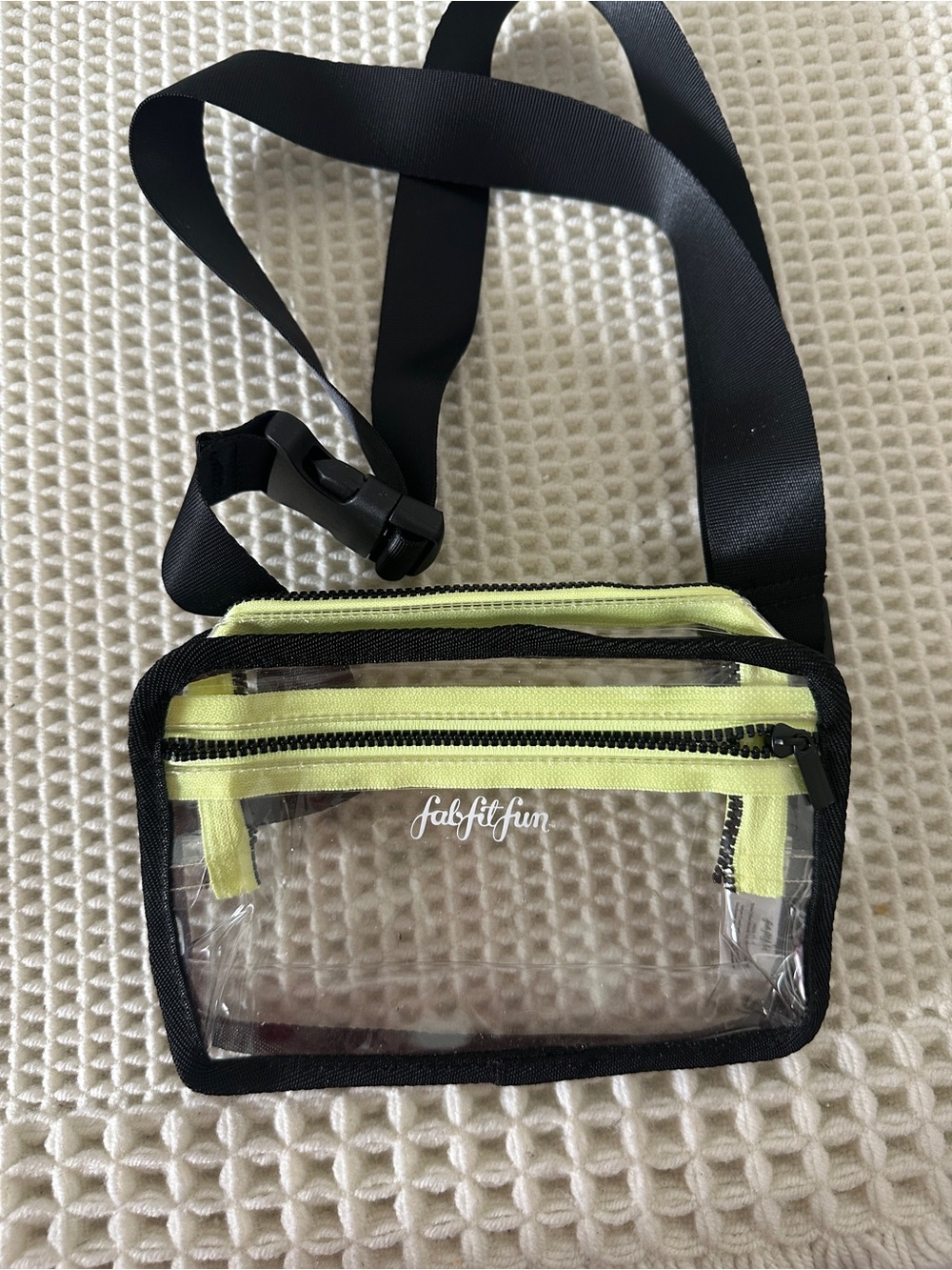 Summer & Rose x FabfitFun Clear Belt Bag